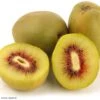 Kiwi - Actinidia Deliciosa Kiwi Wonder 2 Kiwi - Actinidia Deliciosa Kiwi Wonder -Jardin Plantes Boutique Actinidia deliciosa Wonder 84702 1